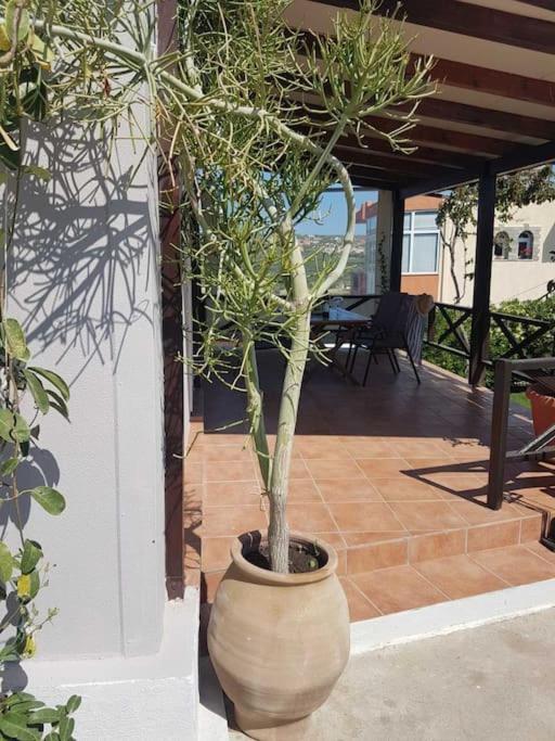 Villa Amalthia Sitia  Exterior foto